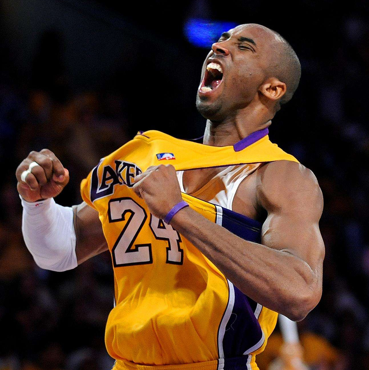 森林狼的顽强拼搏（森林狼的坚毅奋战）